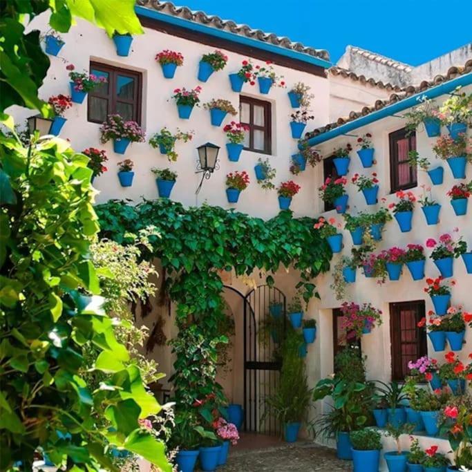 Ferienwohnung Cordvba Osario Centro Córdoba Exterior foto