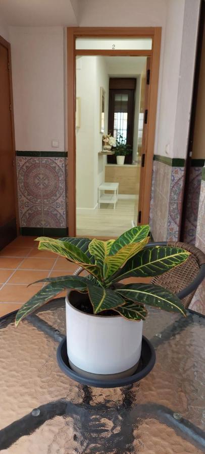 Ferienwohnung Cordvba Osario Centro Córdoba Exterior foto